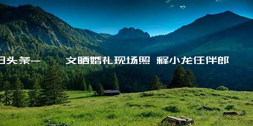 今日头条-郝劭文晒婚礼现场照 释小龙任伴郎 勾起N多人童年回忆